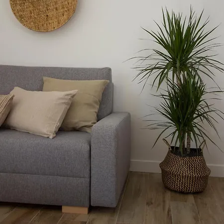 Rurality Lejlighed *