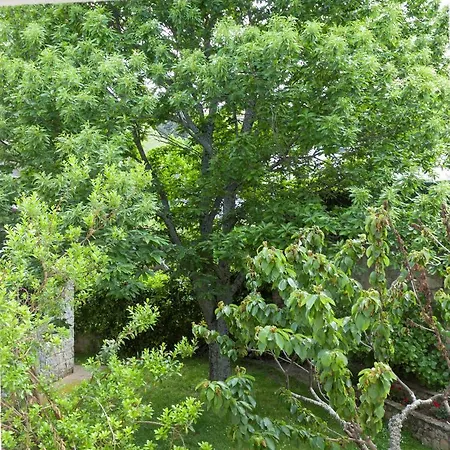 Apartmán Rurality *